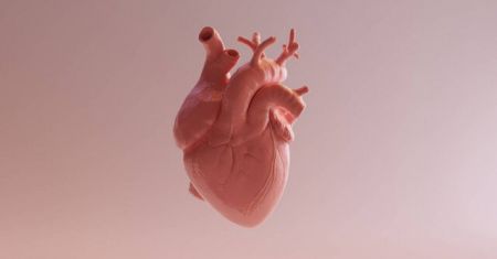 اخبار پزشکی ,خبرهای پزشکی ,سلول جدید اخبار پزشکی ,خبرهای پزشکی,سلول جدید