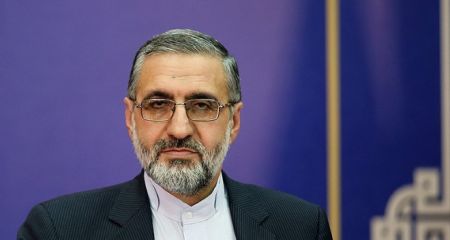 اخبار,اخبار اجتماعی,سخنگوی قوه قضاییه