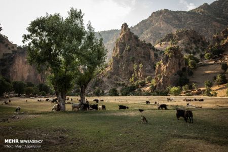 اخبار,عکس خبری,روستاهای منطقه موگویی