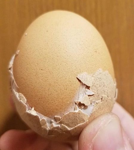 اخبار,اخبار گوناگون اخبار,اخبار گوناگون