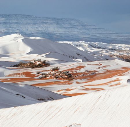 اخبار,اخبار گوناگون