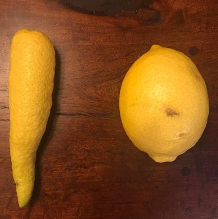 اخبار,اخبار گوناگون اخبار,اخبار گوناگون