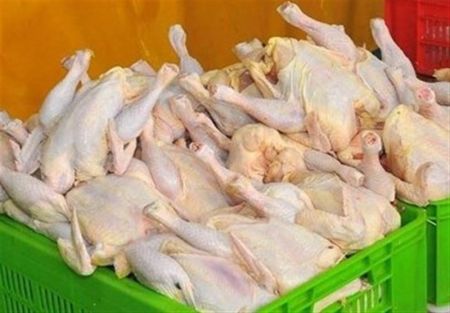 اخبار,اخبار اقتصادی,مرغ اخبار,اخبار اقتصادی,مرغ