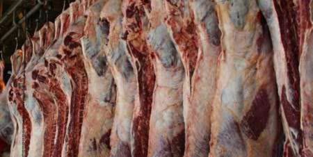 اخبار,اخبار اقتصادی,شقه گوسفندی اخبار,اخبار اقتصادی,شقه گوسفندی