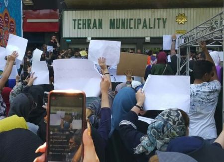 اخبار,اخبار اجتماعی,تجمع مقابل شهرداری تهران برای حادثه سگ کشی