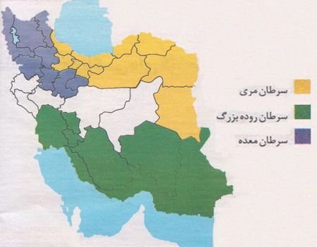 اخبار,اخبار پزشکی,سرطانهای شایع در ایران اخبار,اخبار پزشکی,سرطانهای شایع در ایران