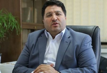 اخبار,اخبار اقتصادی,رئیس سازمان حمایت اخبار,اخبار اقتصادی,رئیس سازمان حمایت