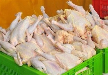 اخبار اقتصادی ,خبرهای اقتصادی , قیمت مرغ اخبار اقتصادی ,خبرهای اقتصادی , قیمت مرغ