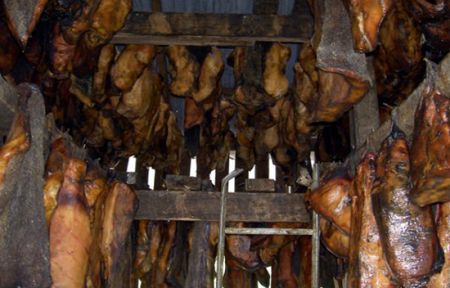 اخبارگوناگون,خبرهای گوناگون , قرون وسطی اخبارگوناگون,خبرهای گوناگون , قرون وسطی