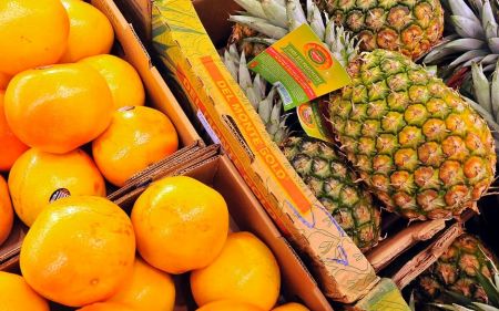 اخبار پزشکی ,خبرهای پزشکی ,بوی بیمارها اخبار پزشکی ,خبرهای پزشکی,بوی بیمارها