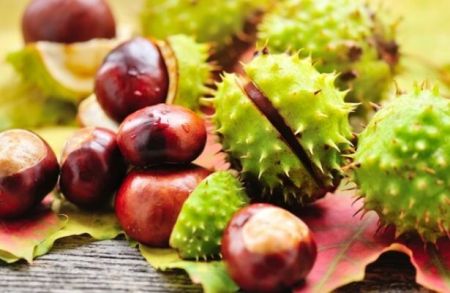 اخبار پزشکی ,خبرهای پزشکی , واریس اخبار پزشکی ,خبرهای پزشکی, واریس
