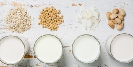 اخباراجتماعی ,خبرهای اجتماعی ,شیر اخبار اجتماعی ,خبرهای اجتماعی,شیر
