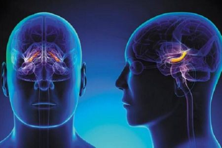 اخبار پزشکی ,خبرهای پزشکی ,استرس اخبار پزشکی ,خبرهای پزشکی,استرس