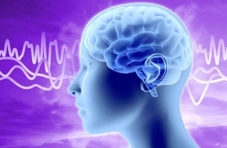 اخبار علمی,خبرهای علمی ,فعالیت الکتریکی مغز اخبار علمی ,خبرهای علمی,فعالیت الکتریکی مغز