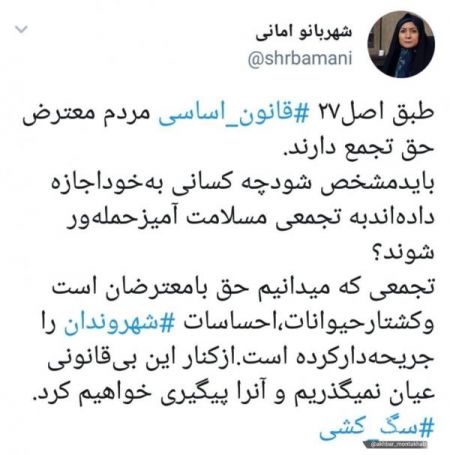  اخبار اجتماعی ,خبرهای اجتماعی,تجمع کنندگان علیه سگ‌کشی