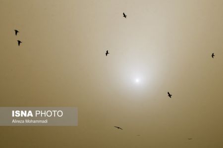 اخباراجتماعی ,خبرهای اجتماعی , گرد و خاک اخبار اجتماعی ,خبرهای اجتماعی, گرد و خاک