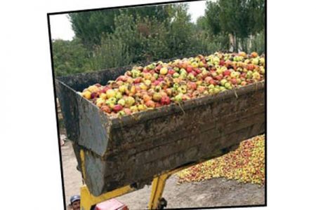 اخبار اقتصادی ,خبرهای اقتصادی ,کشاورزی اخبار اقتصادی ,خبرهای اقتصادی ,کشاورزی