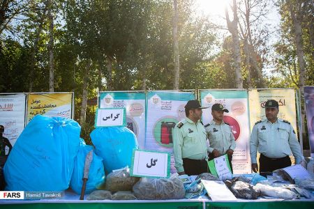 اخبار,اخبارحوادث,نخستین طرح ظفر اخبار,اخبارحوادث,نخستین طرح ظفر