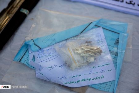 اخبار,اخبارحوادث,نخستین طرح ظفر اخبار,اخبارحوادث,نخستین طرح ظفر