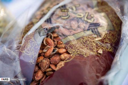 اخبار,اخبارحوادث,نخستین طرح ظفر اخبار,اخبارحوادث,نخستین طرح ظفر