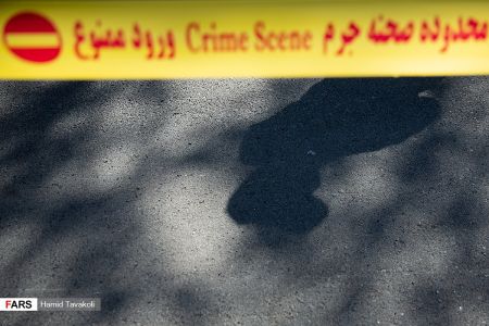 اخبار,اخبارحوادث,نخستین طرح ظفر اخبار,اخبارحوادث,نخستین طرح ظفر