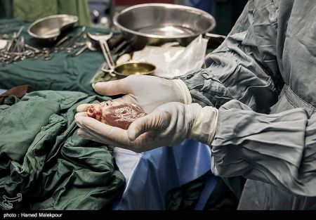 اخبار,عکس خبری, اهدای زندگی در روز عاشورا
