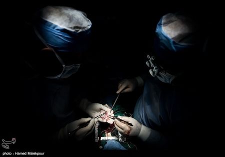 اخبار,عکس خبری, اهدای زندگی در روز عاشورا