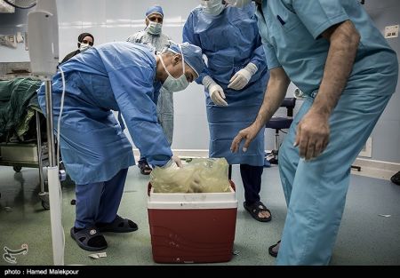 اخبار,عکس خبری, اهدای زندگی در روز عاشورا