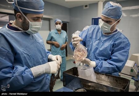 اخبار,عکس خبری, اهدای زندگی در روز عاشورا