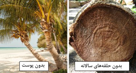 اخبار,اخبارگوناگون,درباره اینها یک عمر اشتباه می کردیم اخبار,اخبارگوناگون,درباره اینها یک عمر اشتباه می کردیم