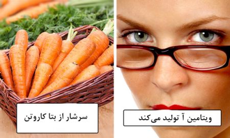 اخبار,اخبارگوناگون,درباره اینها یک عمر اشتباه می کردیم اخبار,اخبارگوناگون,درباره اینها یک عمر اشتباه می کردیم