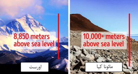 اخبار,اخبارگوناگون,درباره این‌ها یک عمر اشتباه می کردیم