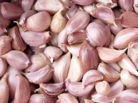 اخبار,اخبارگوناگون, دیوانه وارترین رکوردهای غذایی ثبت شده در گینس اخبار,اخبارگوناگون, دیوانه وارترین رکوردهای غذایی ثبت شده در گینس