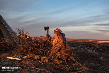 اخبار,اخبار گوناگون,زندگی در سرزمین های قطبی روسیه