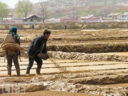 اخبار,اخبار گوناگون,قوانین عجیب کره شمالی