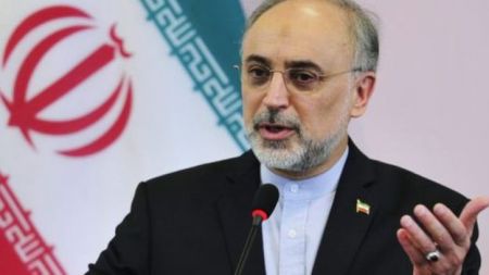 اخبار,اخبار سیاست خارجی,علی اکبر صالحی اخبار,اخبار سیاست خارجی,علی اکبر صالحی