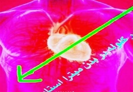 اخباراجتماعی ,خبرهای اجتماعی ,صحنه قتل میترا استاد اخبار اجتماعی ,خبرهای اجتماعی,صحنه قتل میترا استاد