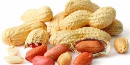 اخبار پزشکی ,خبرهای پزشکی ,داروی ضدآلرژی اخبار پزشکی ,خبرهای پزشکی,داروی ضدآلرژی