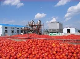 اخبار اقتصادی ,خبرهای اقتصادی ,رب اخبار اقتصادی ,خبرهای اقتصادی ,رب