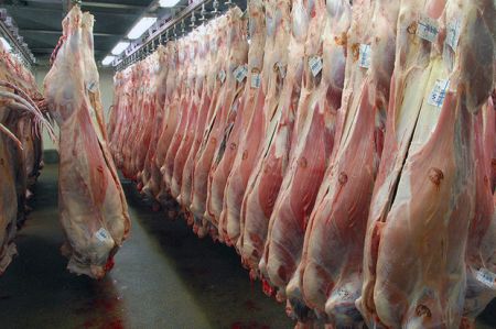 اخبار اقتصادی ,خبرهای اقتصادی ,قیمت دام سنگین اخبار اقتصادی ,خبرهای اقتصادی ,قیمت دام سنگین