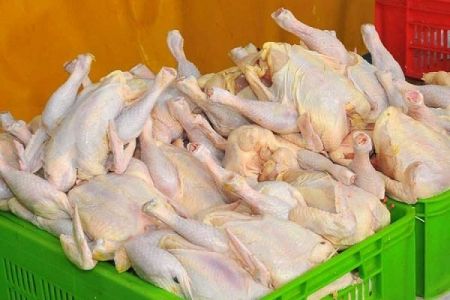 اخبار اقتصادی ,خبرهای اقتصادی , مرغ اخبار اقتصادی ,خبرهای اقتصادی , مرغ