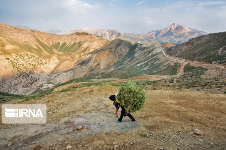  اخبار اجتماعی ,خبرهای اجتماعی,روستای موگویی