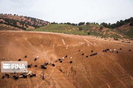  اخبار اجتماعی ,خبرهای اجتماعی,روستای موگویی