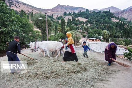  اخبار اجتماعی ,خبرهای اجتماعی,روستای موگویی