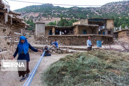  اخبار اجتماعی ,خبرهای اجتماعی,روستای موگویی