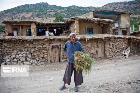  اخبار اجتماعی ,خبرهای اجتماعی,روستای موگویی