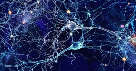 اخبار علمی,خبرهای علمی , حافظه مصنوعی اخبار علمی ,خبرهای علمی, حافظه مصنوعی