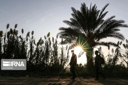 اخبار,عکس خبری,پیاده روی اربعین اخبار,عکس خبری,پیاده روی اربعین