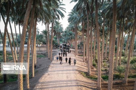 اخبار,عکس خبری,پیاده روی اربعین اخبار,عکس خبری,پیاده روی اربعین