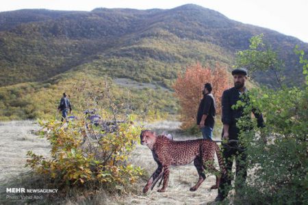 اخبار,اخبارفرهنگی وهنری,فیلم سینمایی منطقه پروازممنوع